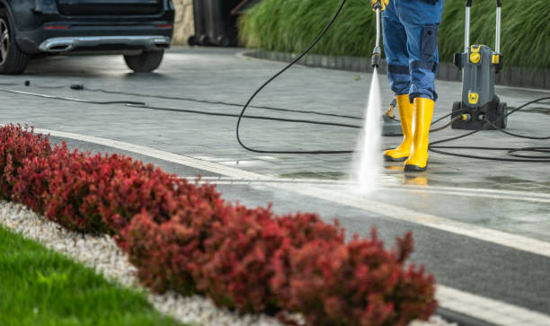 Best House Pressure Washing  in Auburndale, FL